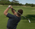 World Golf Tour